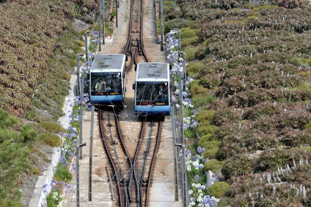 100 Meters From The Beach! Rua Da Paz Nazare Bagian luar foto